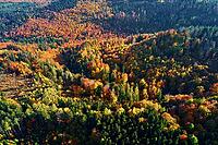 Mountains covered with autumn colored forest, aerial view. Beautiful nature landscape [IBR124497424]