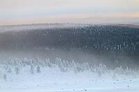 Foggy atmosphere over forested mountain ranges, Saariselkä, Lapland, Finland, January 2025 [IBR124508485]