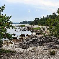 Rocky coastal landscape, coniferous forest, Raukar near Folhammar, nature reserve, east coast, island of Gotland, Baltic Sea, Sweden [IBR124508487]
