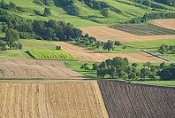 View from Einkorn of fields and fields near Michelbach an der Bilz, Swabian-Franconian Forest nature park Park, Hohenlohe, Germany [IBR124508543]