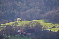 Hamlet near Michelfeld, spring, March, fruit blossoms, spring awakening, Swabian-Franconian Forest nature park Park, Hohenlohe, Germany [IBR124508545]
