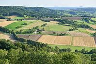 View from Einkorn of fields and fields near Michelbach an der Bilz, Swabian-Franconian Forest nature park Park, Hohenlohe, Germany [IBR124508547]
