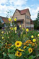 Bauerngärtchen im Hohenloher open-air museum, Wackershofen, Farmermuseum, Herb Garden, Evening Primrose, Herbs, Swabian-Franconian Forest nature park Park, Schwäbisch Hall, Hohenlohe, Germany [IBR124508549]
