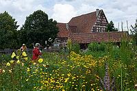 Bauerngärtchen im Hohenloher open-air museum, Wackershofen, Farmermuseum, Herb Garden, Herbs, Swabian-Franconian Forest nature park Park, Schwäbisch Hall, Hohenlohe, Germany [IBR124508551]