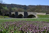 Old stone bridge in Oberregenbach, Langenburg an der Jagst, bridge, Jagsttal, Hohenlohe, Germany [IBR124508566]
