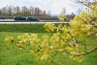 Kocher valley bridge, motorway bridge, bridge, motorway, Kocher valley, Kocher, spring, maple (Acer), maple blossom, Braunsbach, Hohenlohe, Germany [IBR124508575]