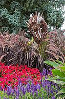 Colourful flower and plant arrangement with a dragon sculpture, Westwood Park, Dorval, Province of Quebec, Canada [IBR124525372]