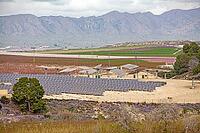 February and march are the key months for the flowering of peach and almond, an explosion of colors that covers thousand of acres in the province of Murcia [IBR124525385]