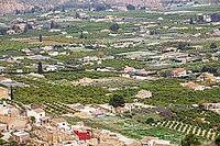 Mula is a whealthy village that lives mainly upon the farming of peach, almond and other fruits in the region of Murcia, Mula, Murcia, Spain [IBR124525387]