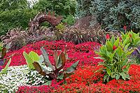 Colourful flower and plant arrangement with a dragon sculpture, Westwood Park, Dorval, Province of Quebec, Canada [IBR124525390]