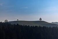 Drumlin near Waltrigen, Dürrenroth, Emmental, Bern, Switzerland [IBR124525412]