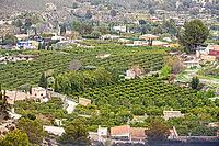 Mula is a whealthy village that lives mainly upon the farming of peach, almond and other fruits in the region of Murcia, Mula, Murcia, Spain [IBR124525438]