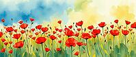 Strong red poppies under a blue and yellow sky, romantic watercolor illustration, flower meadow at sunset or sunrise, with open text as background, AI generated [IBR124550815]