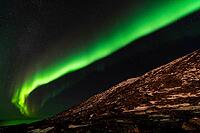 Northern Lights (Aurora borealis), S$00F6r$00F6ya, Finnmark, Norway, December 2018 [IBR124563515]