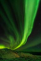 Northern Lights (Aurora borealis), S$00F6r$00F6ya, Finnmark, Norway, December 2018 [IBR124563517]