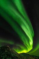 Northern Lights (Aurora borealis), S$00F6r$00F6ya, Finnmark, Norway, December 2018 [IBR124563520]