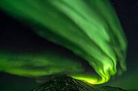 Northern Lights (Aurora borealis), S$00F6r$00F6ya, Finnmark, Norway, December 2018 [IBR124563521]