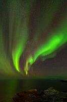 Northern Lights (Aurora borealis) over the Norwegian Sea, S$00F6r$00F6ya, Finnmark, Norway, December 2018 [IBR124563525]