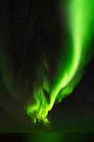 Northern Lights (Aurora borealis) over the Norwegian Sea, S$00F6r$00F6ya, Finnmark, Norway, December 2018 [IBR124563533]