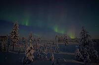 Northern Lights (Aurora borealis) over moonlit winter landscape, Nattavaara, Norrbotten, Lapland, Sweden, November 2023 [IBR124563544]