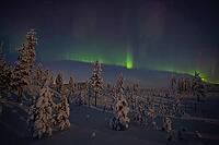 Northern Lights (Aurora borealis) over moonlit winter landscape, Nattavaara, Norrbotten, Lapland, Sweden, November 2023 [IBR124563545]