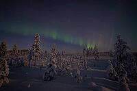 Northern Lights (Aurora borealis) over moonlit winter landscape, Nattavaara, Norrbotten, Lapland, Sweden, November 2023 [IBR124563546]