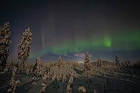 Northern Lights (Aurora borealis) over moonlit winter landscape, Nattavaara, Norrbotten, Lapland, Sweden, November 2023 [IBR124563549]