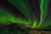 Northern Lights (Aurora borealis), S$00F6r$00F6ya, Finnmark, Norway, December 2018 [IBR124563557]