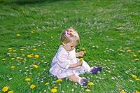 Auf der Wiese [IBR124585260]