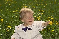 Auf der Wiese [IBR124585266]