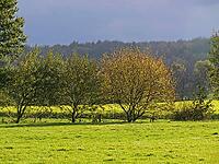 Autumn landscape near Westerkappeln [IBR124585280]