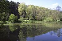 Bad Iburg, Osnabrücker Land pond landscape in spring [IBR124585281]