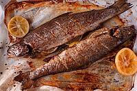 Two fish are being cooked on a baking sheet in a home kitchen. Lemon slices are placed beside the fish to add flavor. The dish shows grill marks and a brown color from baking [IBR124585332]