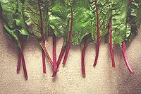 Fresh, green leaves, stem with beet leaves, on the table, top view, rustic, no people [IBR124585333]