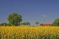 Rape field with wind turbine near Bad Iburg in Osnabrücker Land, Lower Saxony - Rape field in Lower Saxony, Germany [IBR124585395]
