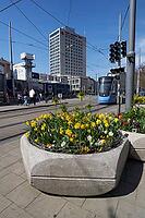 Blumenkübel am central railway station, Munich, flowers, spring, April, tram, road traffic, urban, big city, Bavaria, Germany [IBR124585433]