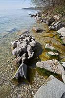 Starnberger See, Starnberg, lake, recreation area, swimming lake, shipping, Upper Bavaria, Bavaria, spring, April, lakeside promenade, leisure, Munich, Germany [IBR124585435]