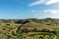 Beautiful countryside view along the road leading to Moinho das Amendoeiras in Algarve, Portugal. Rolling hills, lush greenery, and a peaceful rural landscape capture the charm of southern Portugal [IBR124586576]