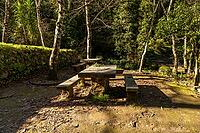 Peaceful forest trail winding through lush green woodland beside a small stream at Parque do Barronco dos Pisões, illuminated by warm sunlight on a tranquil spring day [IBR124586588]