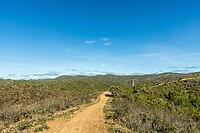 Scenic walking trails winding through the natural landscape of Fonte Férrea in São Brás de Alportel, Algarve, Portugal, offering a peaceful setting for outdoor trips, hiking, and nature exploration [IBR124586598]