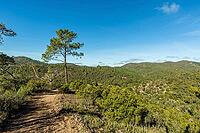 Scenic walking trails winding through the natural landscape of Fonte Férrea in São Brás de Alportel, Algarve, Portugal, offering a peaceful setting for outdoor trips, hiking, and nature exploration [IBR124586613]