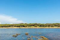 Beautiful natural landscape in Quarteira, Algarve, Portugal featuring a calm lagoon, and lush green vegetation under a clear blue sky. Peaceful outdoor scene ideal for travel, nature, and countryside themes. Keywords [IBR124586614]
