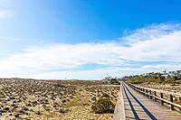 A sandy dune beach in Quinta do Lago, Algarve, Portugal [IBR124586619]
