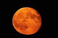 Full moon red silver moon against black sky, Herrnwahlthann, Bavaria, Germany [IBR124586664]