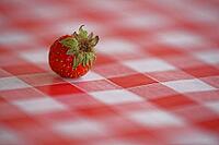 Strawberry (Fragaria) on a tablecloth, Loureira, Leiria district, Centro region, Portugal [IBR124629043]