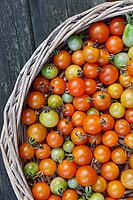 Cocktail tomatoes (Solanum lycopersicum) in a basket, Kempen, North Rhine-Westphalia, Germany [IBR124629075]
