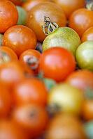 Cocktail tomatoes (Solanum lycopersicum) in a basket, Kempen, North Rhine-Westphalia, Germany [IBR124629081]