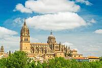 Cathedral of Salamanca and Green Trees on Sunny Day. Blue Sky with Clouds. Old Town, Spain [IBR124629120]