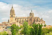 Cathedral of Salamanca and Green Trees on Sunny Day. Blue Sky with Clouds. Old Town, Spain [IBR124629122]