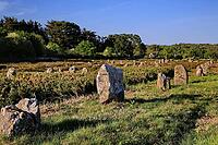 This atmospheric picture shows the famous stone rows of Carnac in Brittany. Numerous Neolithic menhirs rise from the grass and lead the eye to a characteristic stone house. The low sun bathes the scene in golden light and accentuates the rough granite tex [IBR124629127]